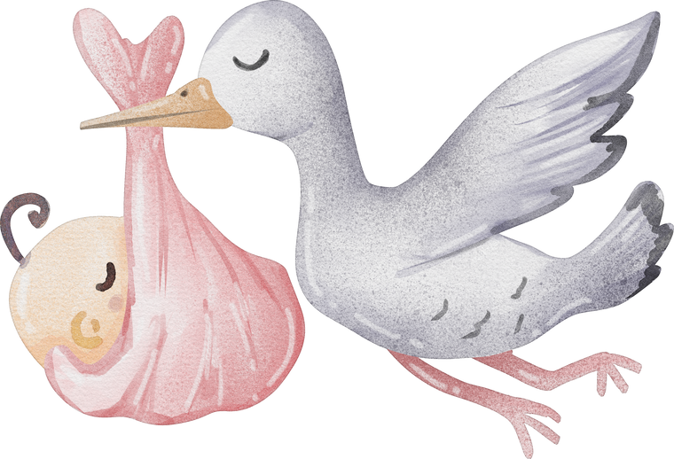 watercolor stork with newborn baby